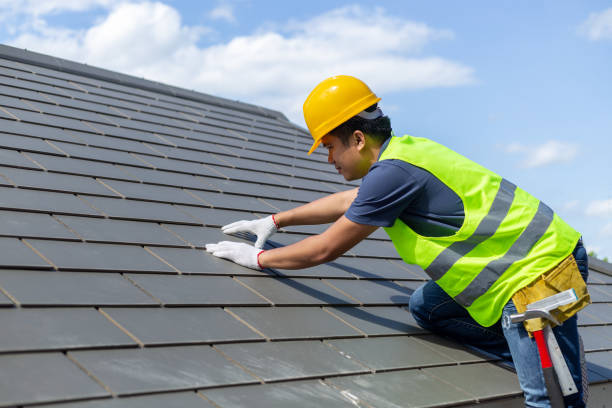 Roof Gutter Cleaning in Bon Air, VA