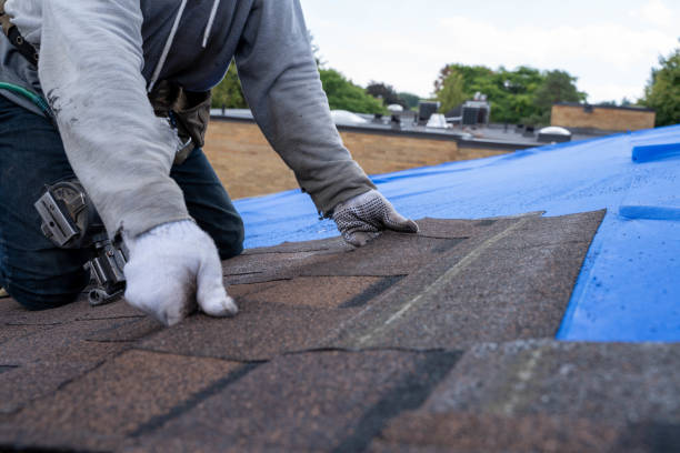Roof Waterproofing Services in Bon Air, VA
