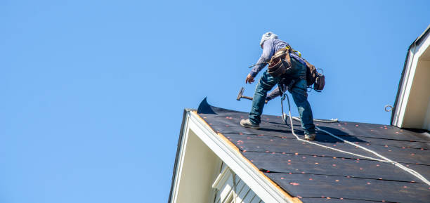 Best Roof Repair Services  in Bon Air, VA